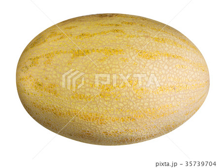 Melon isolated on white Melon isolated on white 35739704
