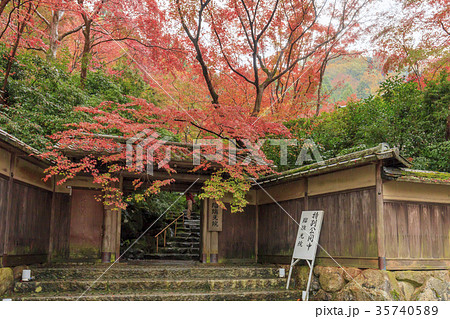 瑠璃光院の紅葉 35740589
