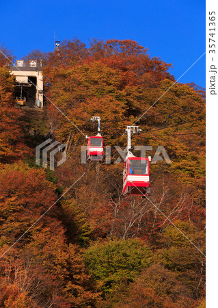 【栃木】日光 紅葉の明知平ロープウェイ 【栃木】日光 紅葉の明知平ロープウェイ 35741365