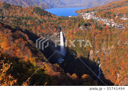 【栃木】日本の名瀑 紅葉の華厳の滝 【栃木】日本の名瀑 紅葉の華厳の滝 35741494