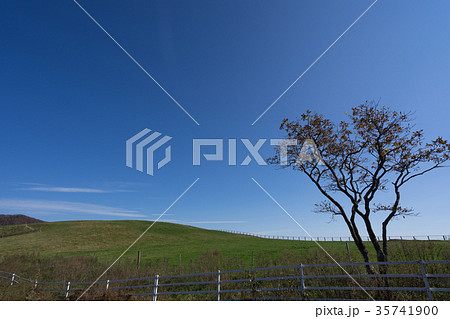 【イメージ】青空の牧場　素材 35741900
