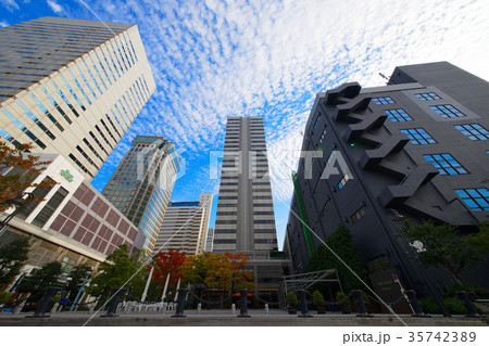天王洲アイル第二水辺広場、リバーテラスと高層ビル群 天王洲アイル第二水辺広場、リバーテラスと高層ビル群 35742389