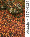 紅葉の落ち葉 35744124