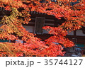 紅葉の入口 35744127