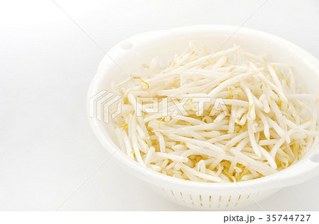 もやし 35744727
