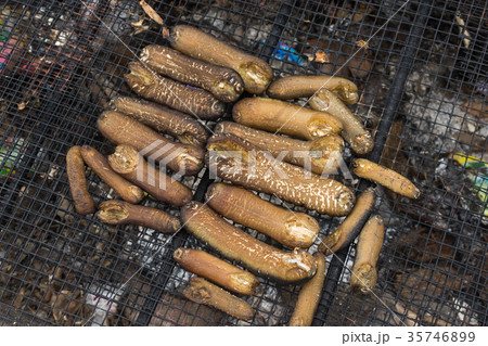 sea cucumbers on stove sea cucumbers on stove 35746899