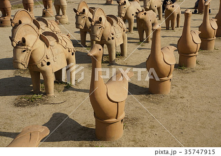 埴輪　鳥　兵馬　古代　古墳　ハニワ 35747915