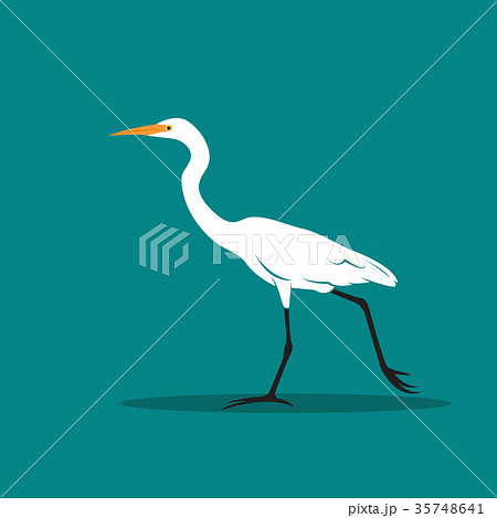 Vector of Heron or egret design. Vector of Heron or egret design. 35748641