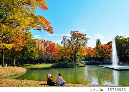 秋の代々木公園 35750346