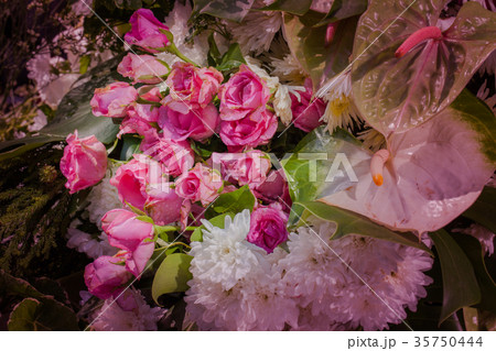roses flowers decoration at flower market 35750444