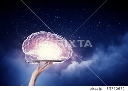 Human brain 35750672