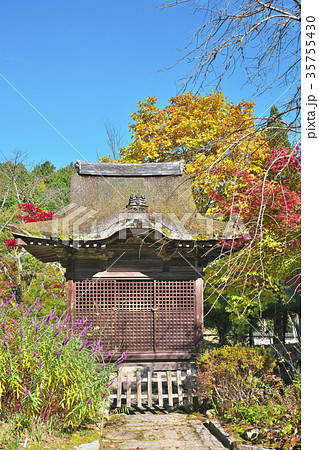 湖南長寿寺の紅葉 湖南長寿寺の紅葉 35755430