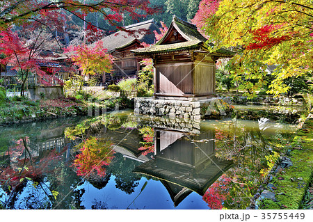 湖南長寿寺の紅葉 35755449