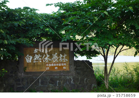 白老町　ポロト自然休養林 35758659