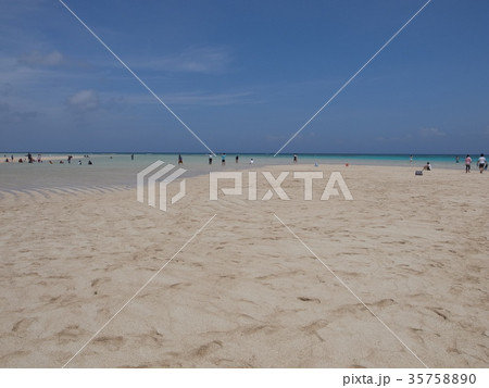 百合ヶ浜 35758890