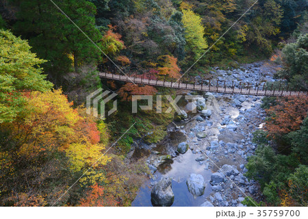 樅木吊橋 五家荘 樅木吊橋 五家荘 35759700