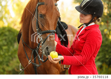 Jockey to feed horse with apple Jockey to feed horse with apple 35760118