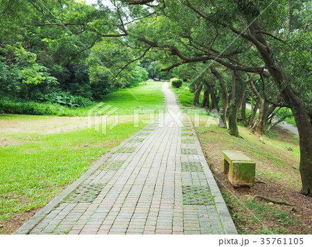 公園 パーク 園 35761105