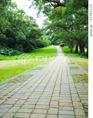 公園 パーク 園 35761115