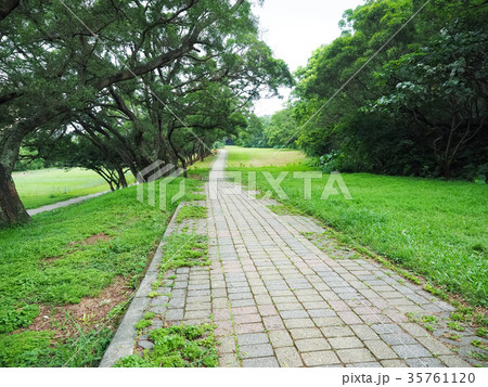 公園 パーク 園 35761120
