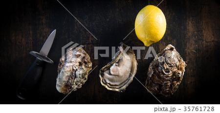 Opened oysters on stone slate plate with lemon and oyster knife 35761728