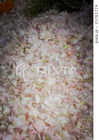 beautiful decoration of flowers at flower market 35761774