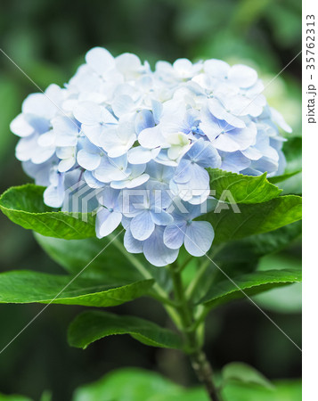 小さい 少し 少ない 35762313