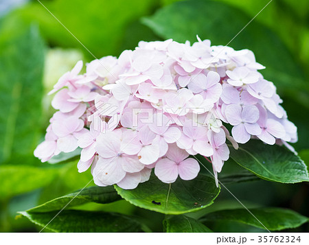 小さい 少し 少ない 35762324