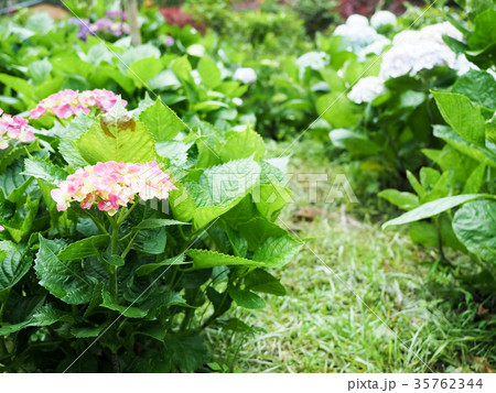 小さい 少し 少ない 35762344