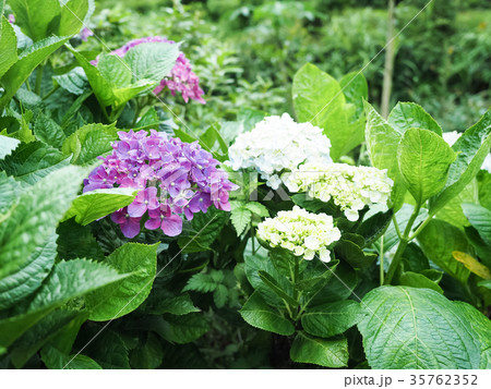 小さい 少し 少ない 35762352