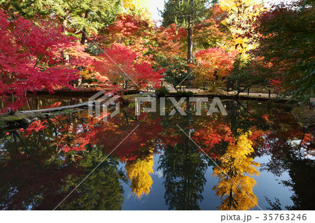 曾木公園の紅葉２ 35763246
