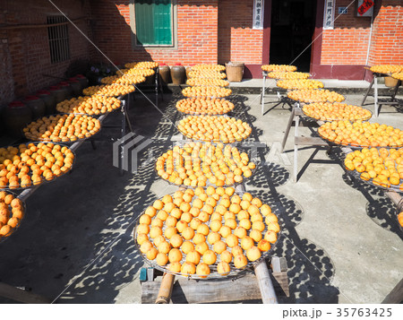 かき カキ 柿 35763425