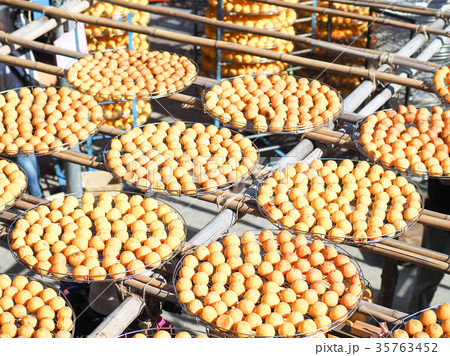 かき カキ 柿 35763452