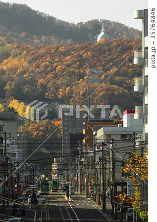 黄葉の藻岩山と電車通り 黄葉の藻岩山と電車通り 35764846