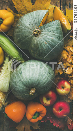 Fall colorful vegetables assortment over wooden Fall colorful vegetables assortment over wooden 35765103