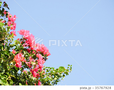 小さい 少し 少ない 35767928