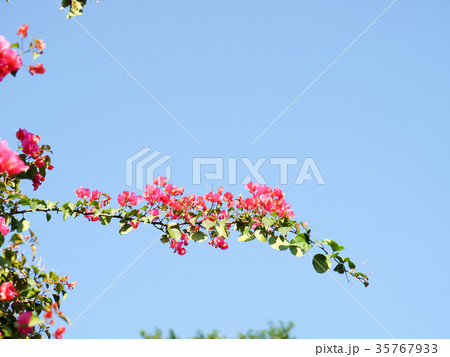 小さい 少し 少ない 35767933