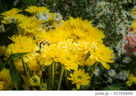 colorful flowers decoration at flower market. 35769899