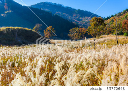 砥峰高原 砥峰高原 35770648
