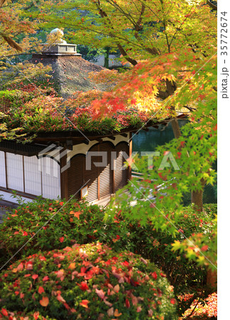 和歌山城　紅葉渓庭園 35772674