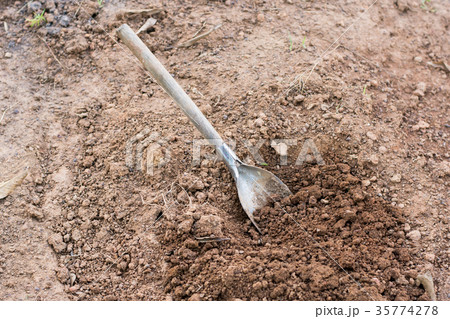 Shovel in the soil Shovel in the soil 35774278
