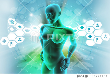 woman female human body woman female human body 35774423
