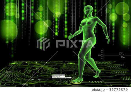 woman female human body woman female human body 35775379