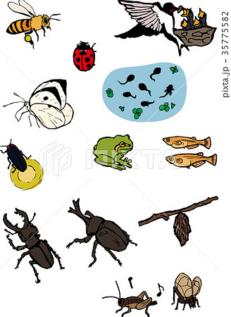 日本の四季10自然の生き物のイラスト素材 日本の四季10自然の生き物のイラスト素材