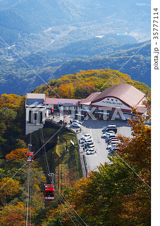 【名勝・紅葉中頃】明智平展望台から 35777114