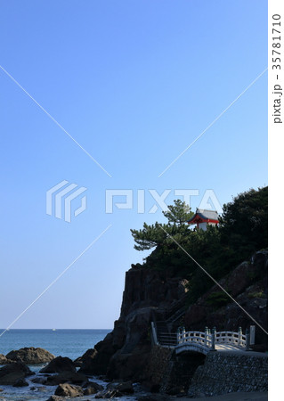 桂浜 竜王岬 35781710