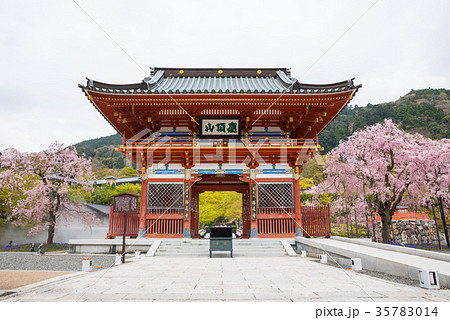 勝尾寺 春 大阪府箕面市 2017年4月撮影 35783014