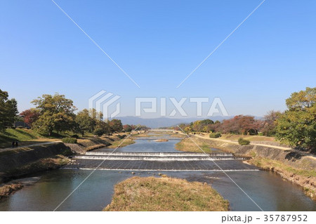 京都・賀茂川（葵橋から北西を望む） 35787952