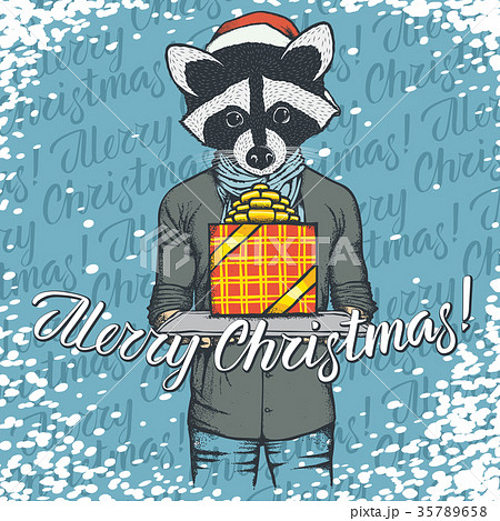 Vector raccoon on Christmas with gift Vector raccoon on Christmas with gift 35789658