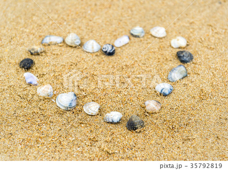 Seashells in the shape of a heart Seashells in the shape of a heart 35792819